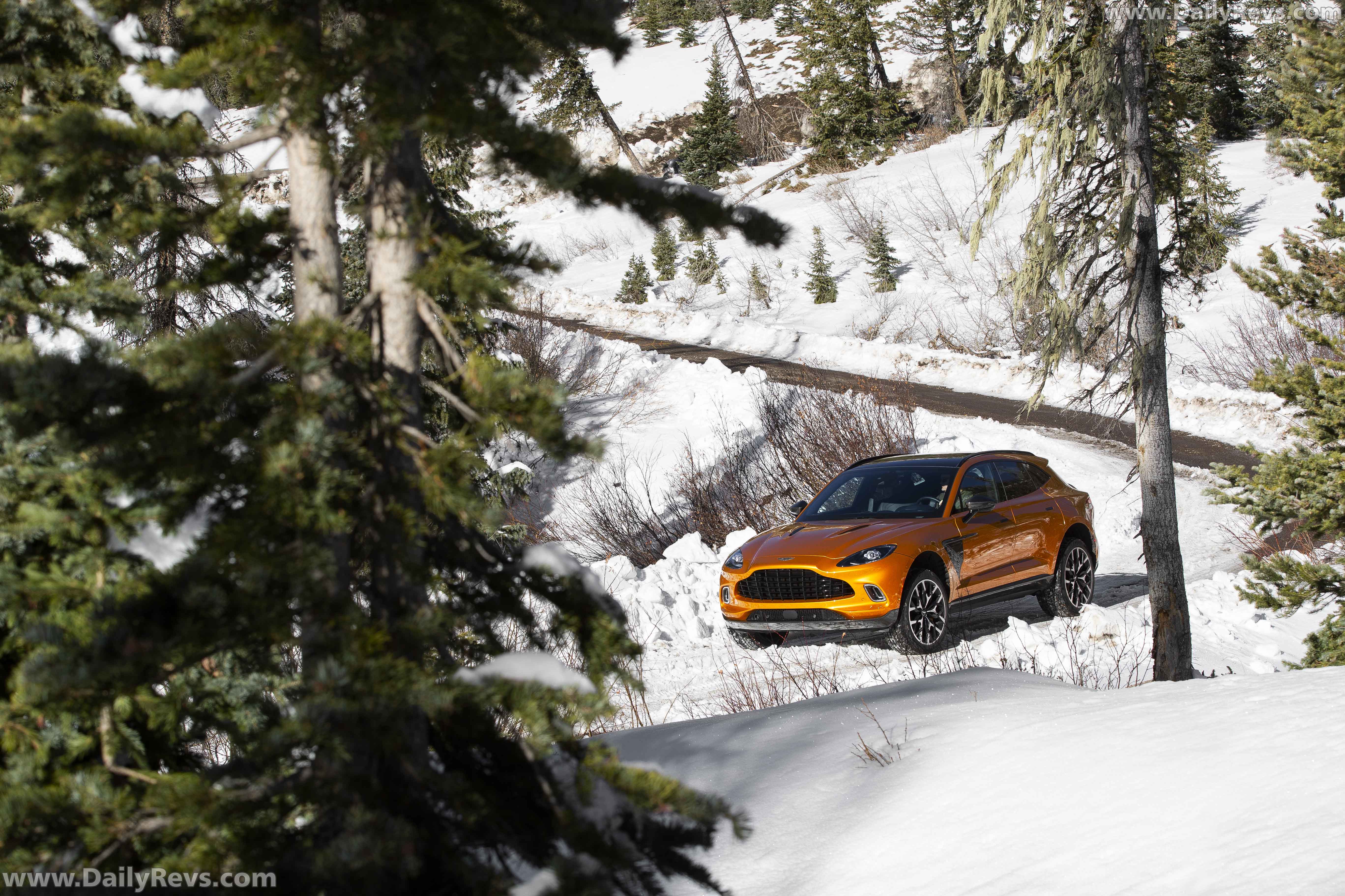 Image for 2021 Aston Martin DBX Golden Saffron - Exteriors, Interiors and Details