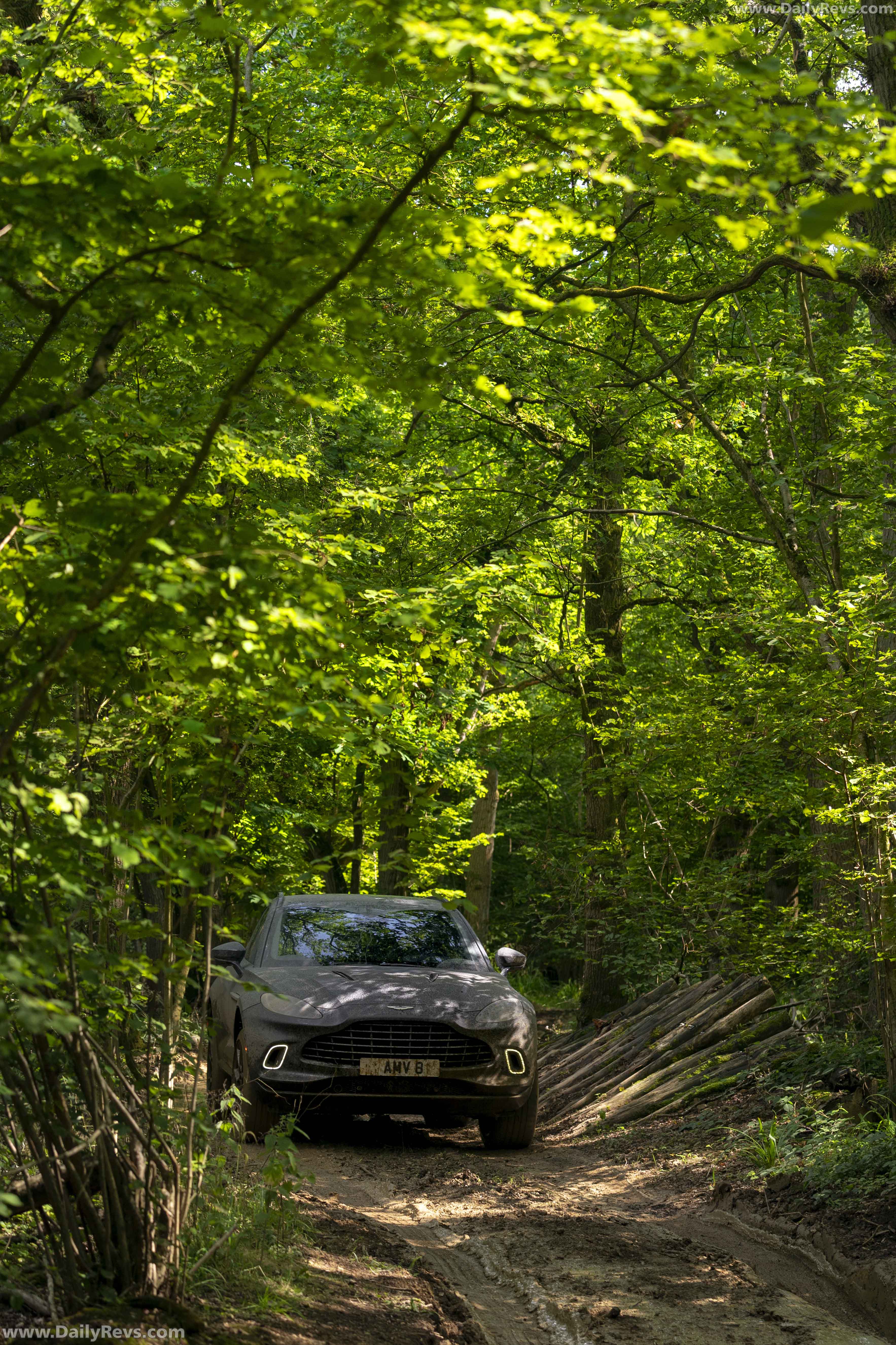 Image for 2021 Aston Martin DBX Satin Xenon Grey - Exteriors, Interiors and Details