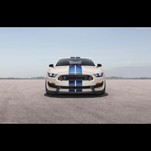 Image for 2020 Ford Mustang Shelby GT350 Heritage Edition - Exteriors, Interiors and Details