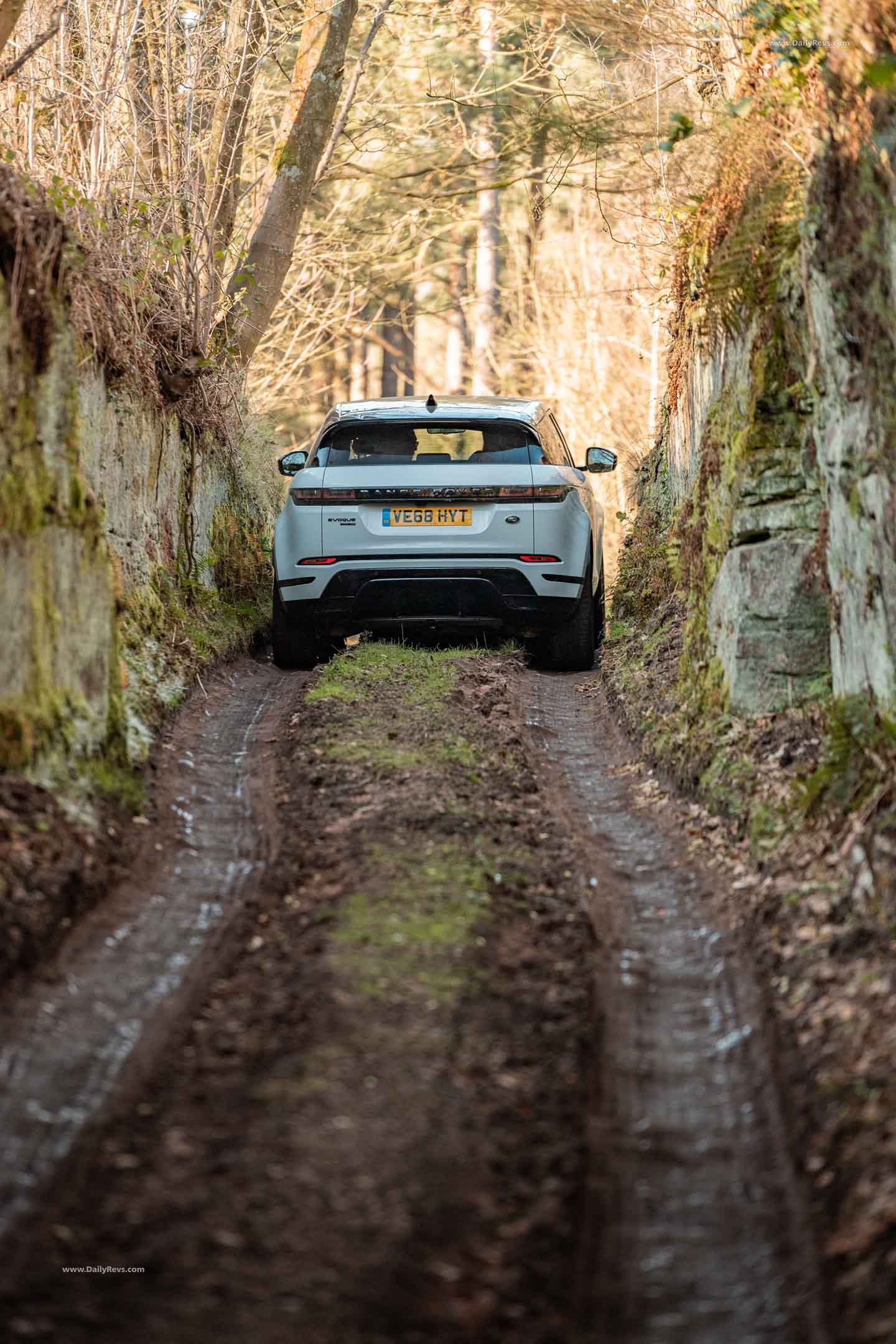 Image for 2020 Land Rover Range Rover Evoque - Exteriors, Interiors and Details