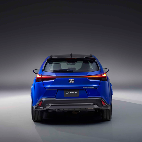 2025 Lexus UX 300h Fsport - Stunning HD Photos, Videos, Specs, Features 
