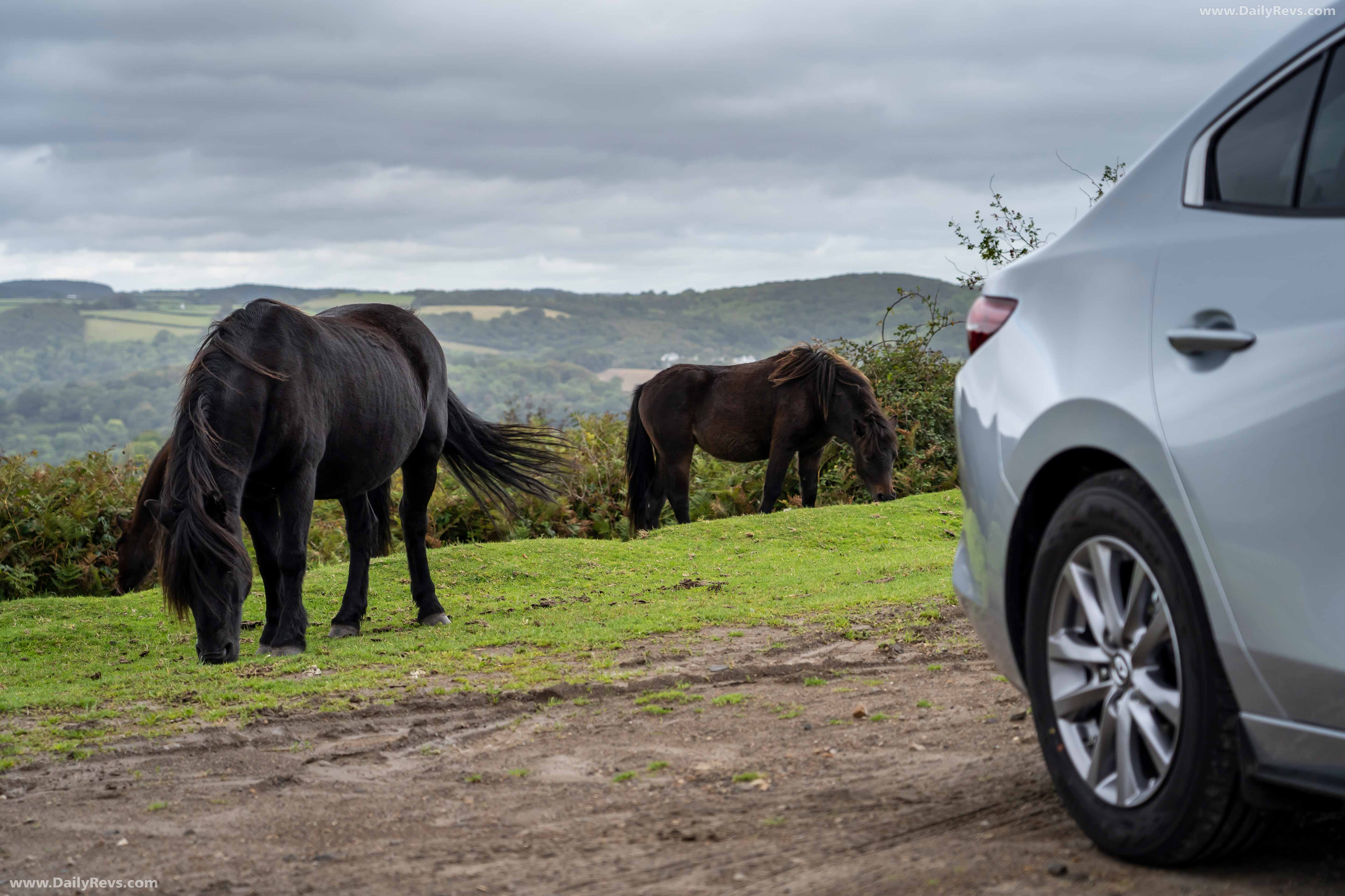 Image for 2019 Mazda 3 Sedan - Exteriors, Interiors and Details