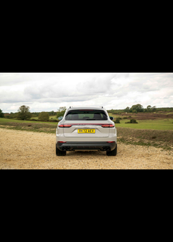 Image for 2022 Porsche Cayenne Platinum Edition UK Version - Exteriors, Interiors and Details