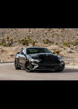 Image for 2023 Shelby Mustang Centennial Edition - Exteriors, Interiors and Details