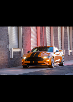 Image for 2021 Shelby GT - Exteriors, Interiors and Details