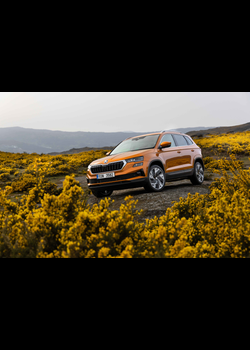 Image for 2022 Skoda Karoq - Exteriors, Interiors and Details